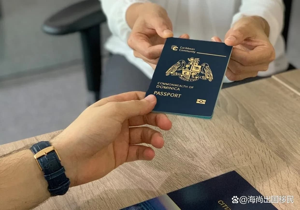 多米尼克护照免签实测：2026全球出行体验与143国免签攻略